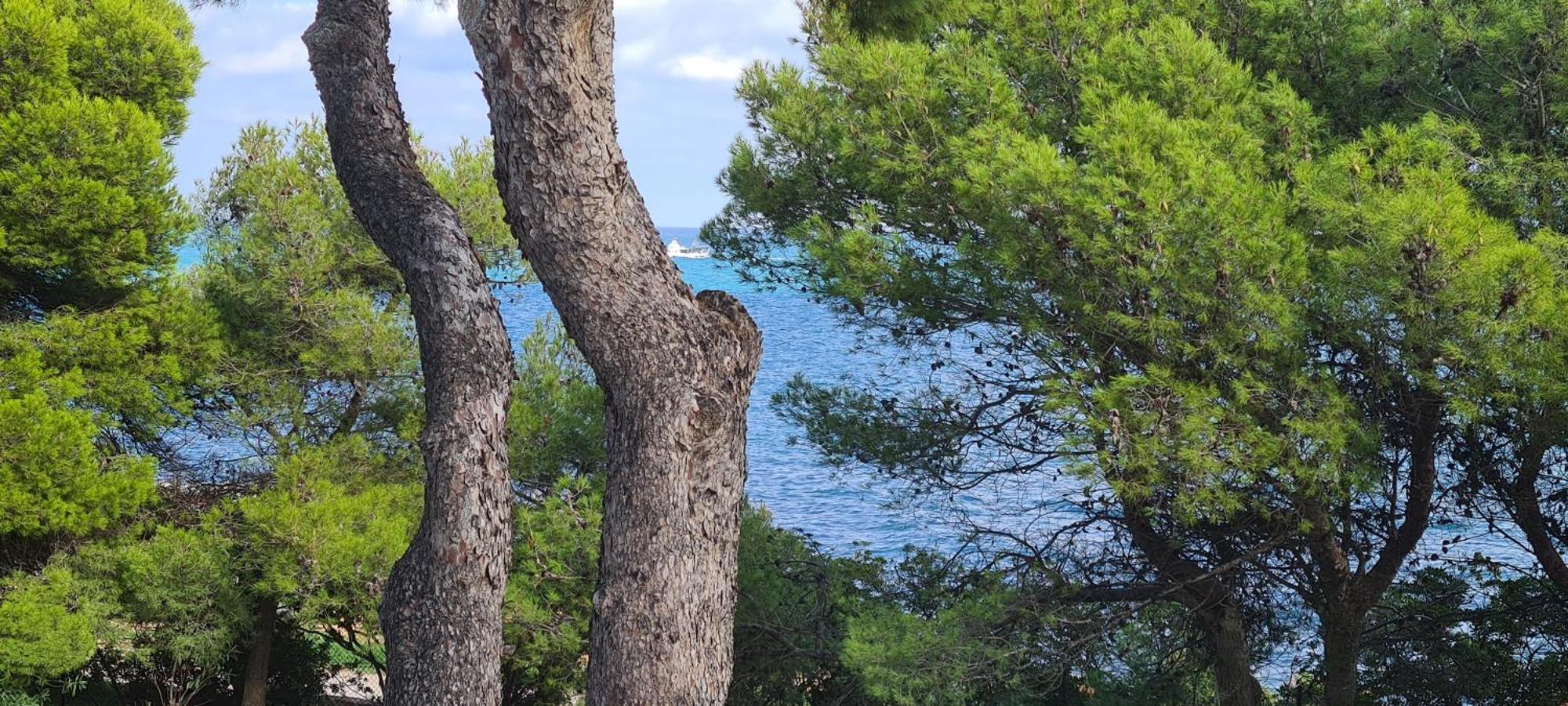 Puerto Azul 1 Διαμέρισμα Peñíscola Εξωτερικό φωτογραφία